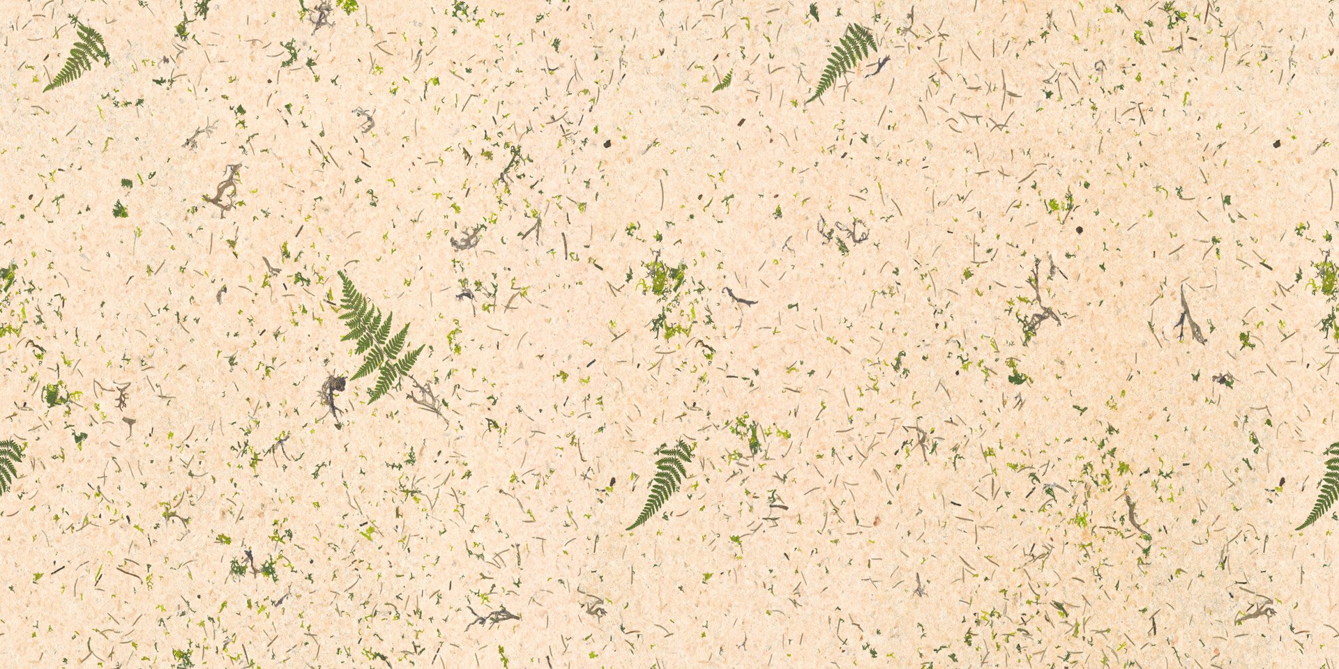 organoid-naturoberfl-chen-stone-pine-forest-tapete-duftend image 3