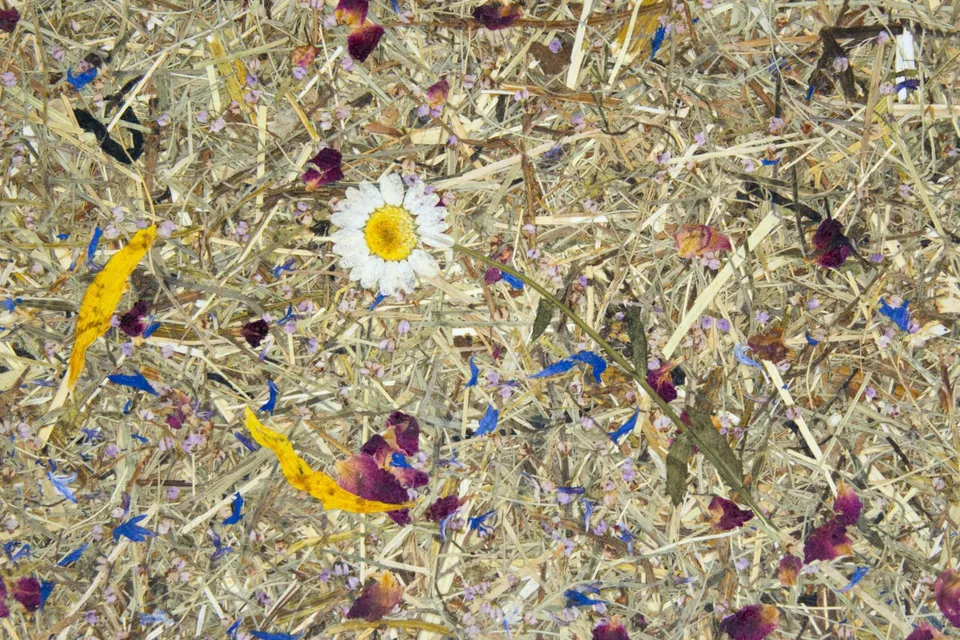 organoid-naturoberfl-chen-alpine-meadow-naturtapete-almheu image 1