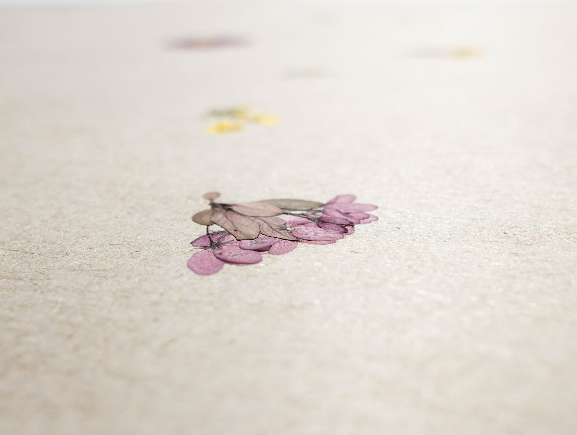 organoid-naturoberfl-chen-violette-bl-tentapete-flachs image 4