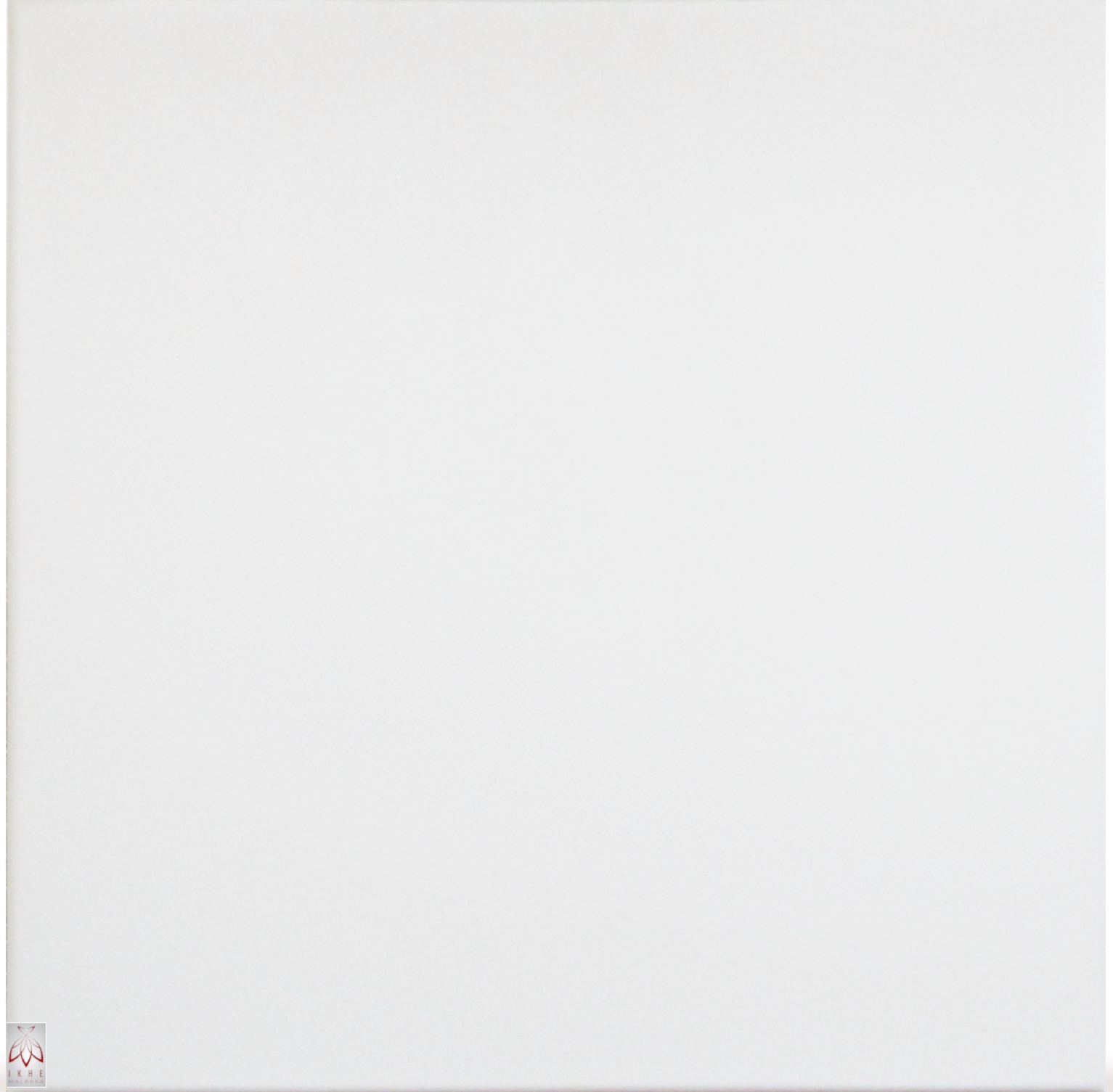 ikhemalarka-polystyrol-paneele-0814-wei-wand-und-deckenverkleidung image 1