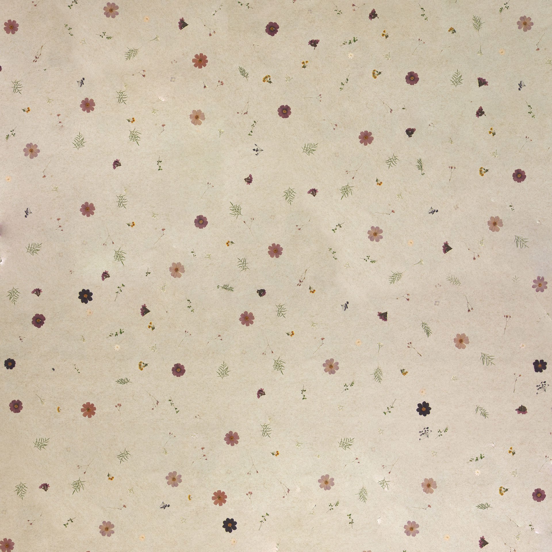 organoid-naturoberfl-chen-violette-bl-tentapete-flachs image 5