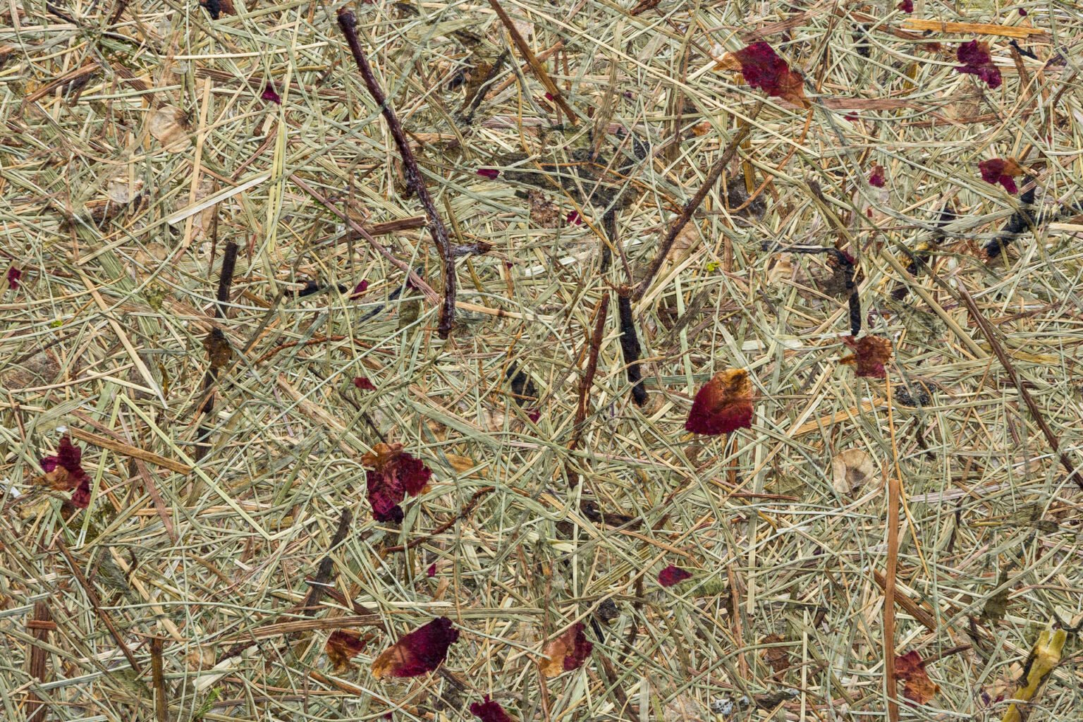 organoid-naturoberfl-chen-wildspitze-rosengarten-tapete-rot image 1