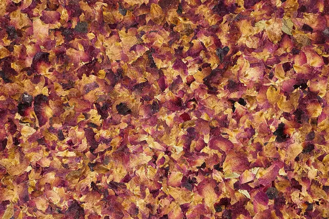 organoid-naturoberfl-chen-rose-petals-naturoberfl-che-rot-duftend image 1