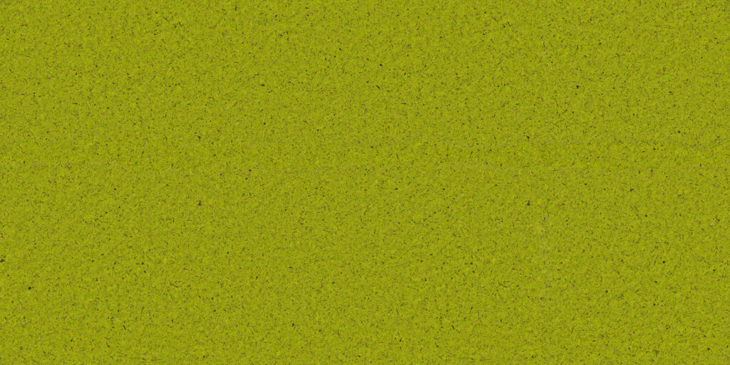 organoid-naturoberfl-chen-moos-hellgr-n-naturtapete-mooswand image 4