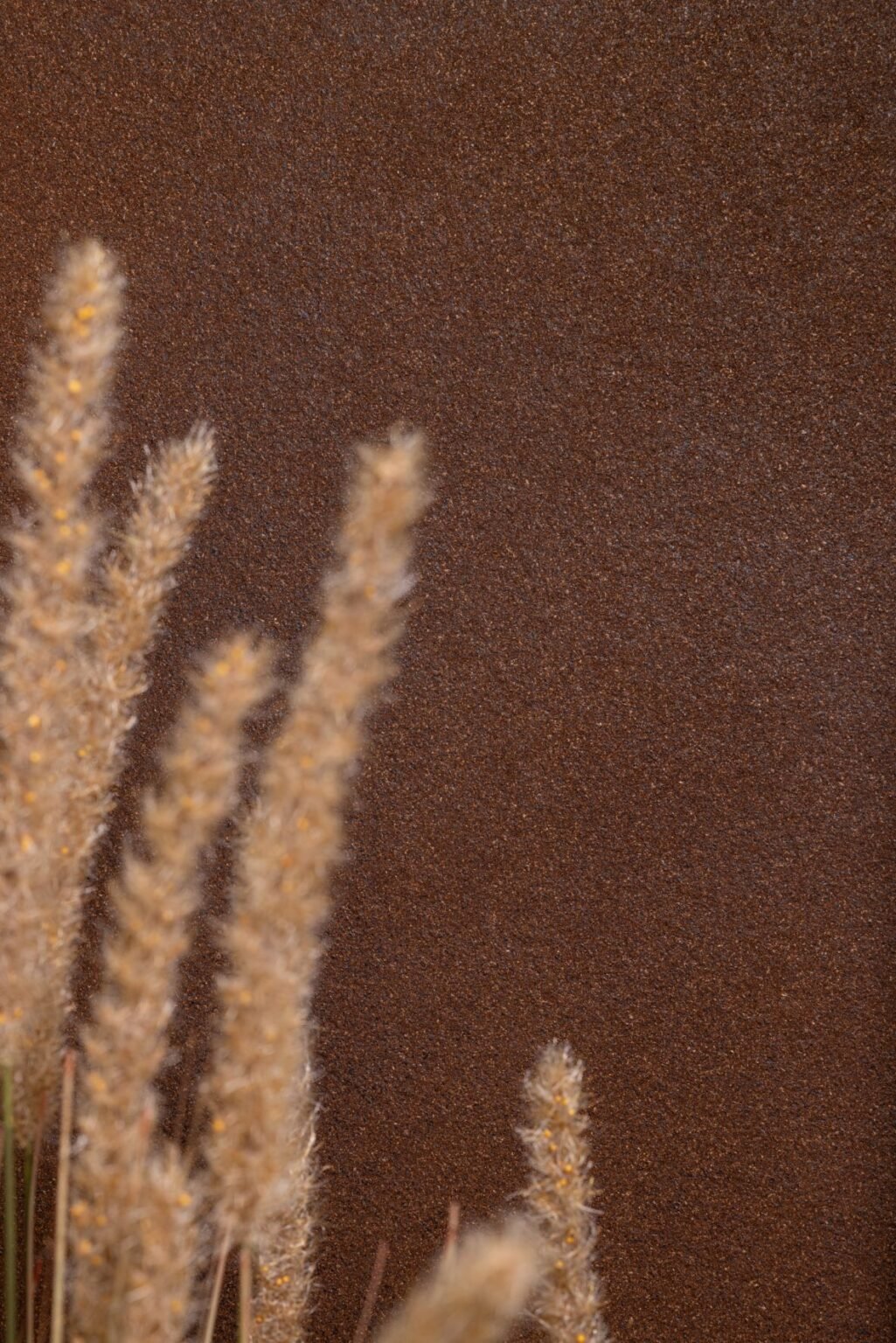 organoid-naturoberfl-chen-coffee-leather-naturtapete-vegan image 3