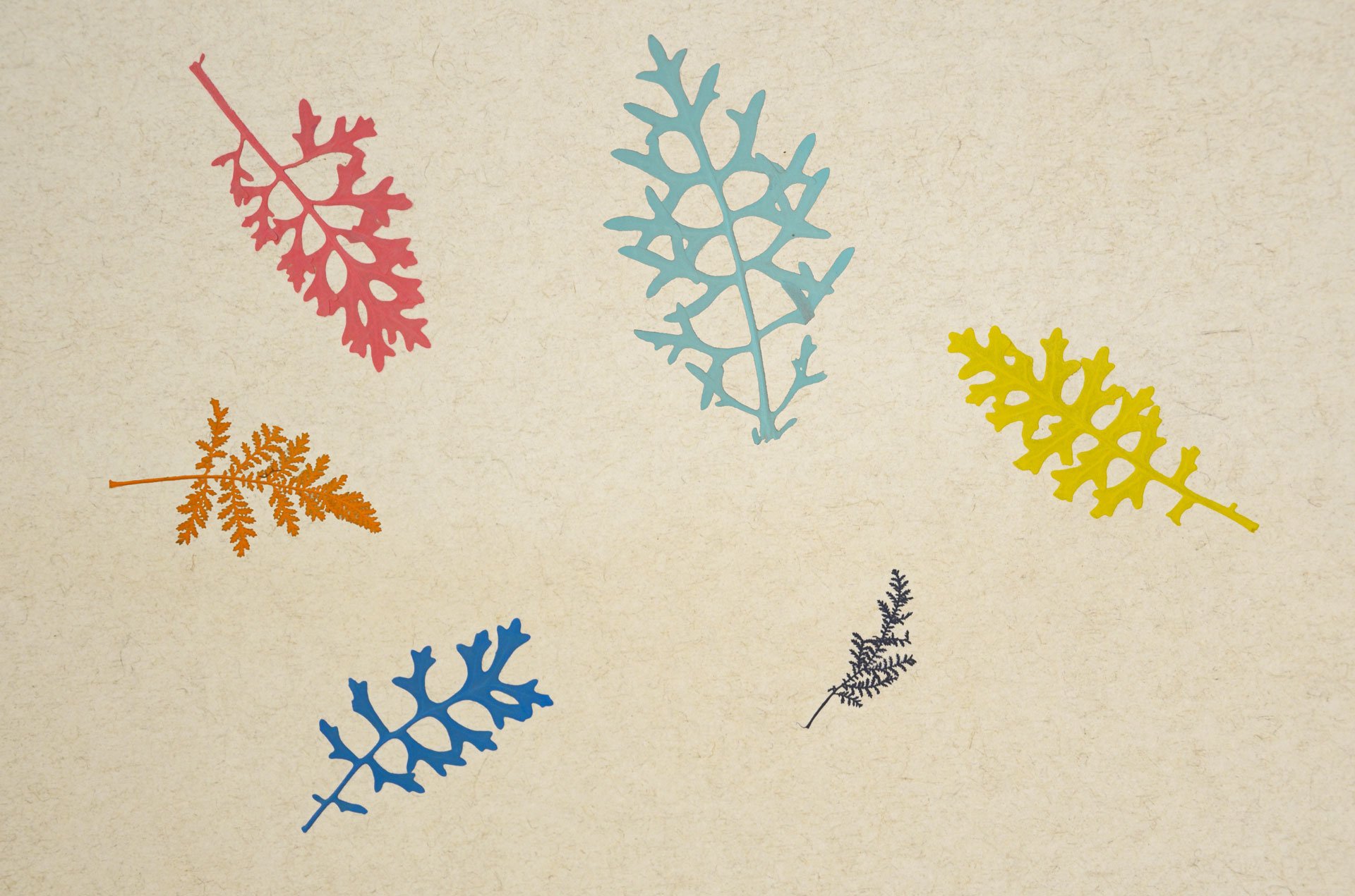 organoid-naturoberfl-chen-farbklecks-naturtapete-kinder-bunt image 1