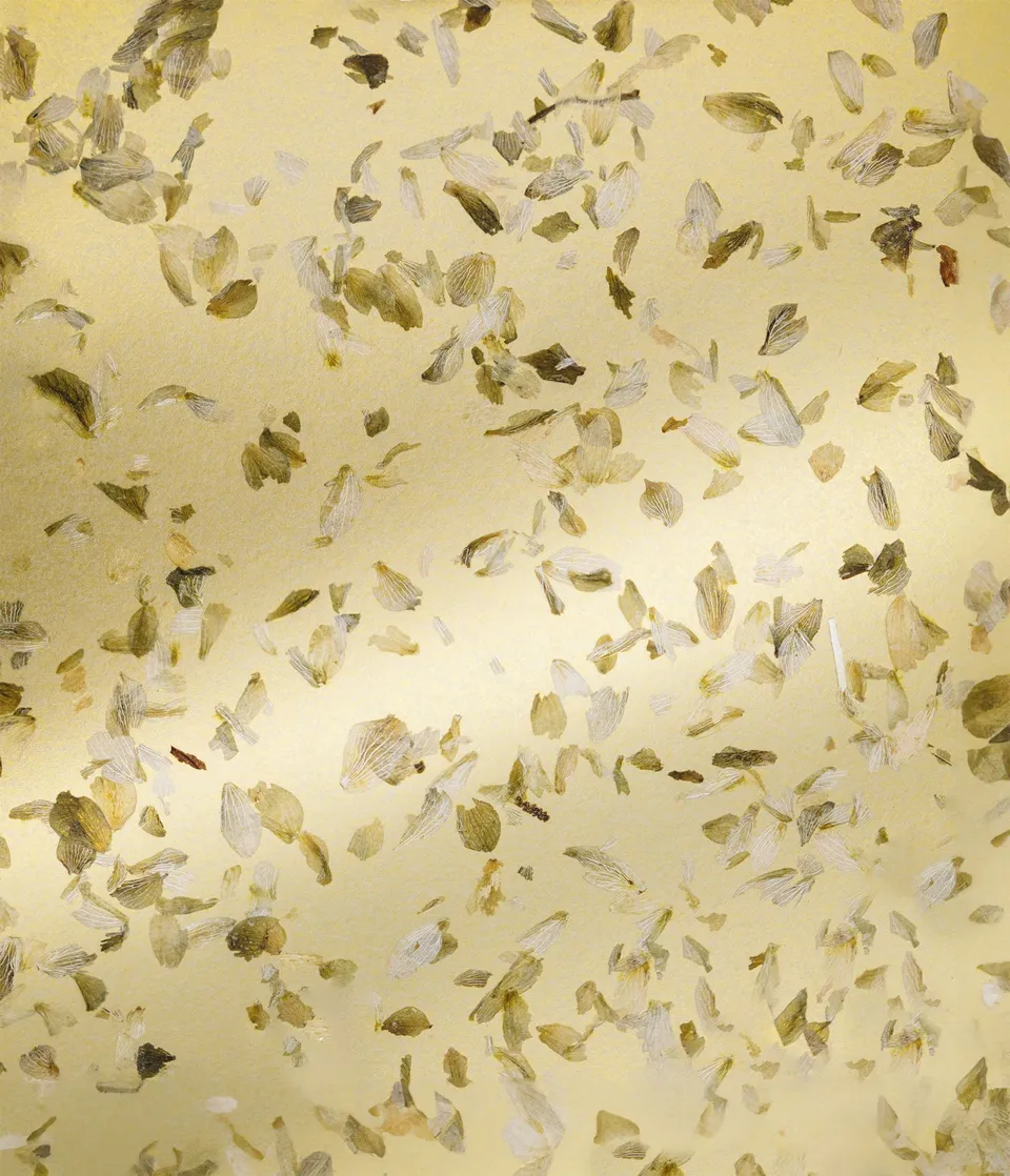 organoid-naturoberfl-chen-hopfen-gold-naturtapete-gold image 1
