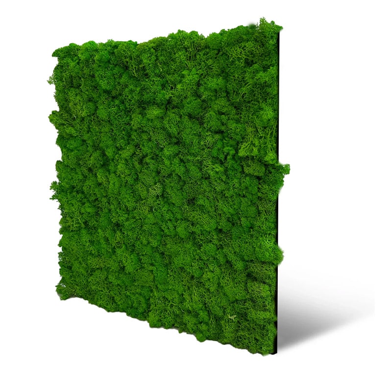 ikhemalarka-moss-11101-moospaneel-rich-green-52x52-filz image 1