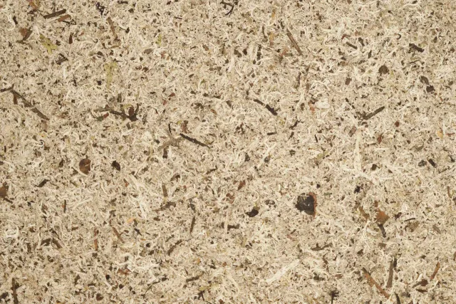 organoid-moss-grey-naturoberfl-che-moos-hellgrau-flachsvlies image 1