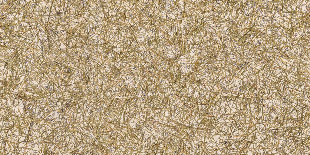 organoid-naturoberfl-chen-lavendel-medium-naturtapete-duftend image 3