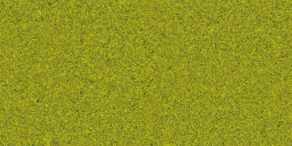 organoid-naturoberfl-chen-moss-mix-naturtapete-moos-mix image 4