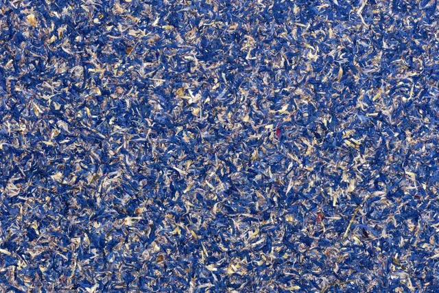organoid-naturoberfl-chen-cornflower-blue-naturwand-kornblume image 1