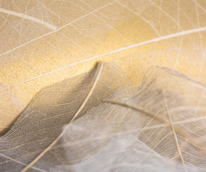 organoid-naturoberfl-chen-skelettbl-tter-gold-naturtapete-gold image 4