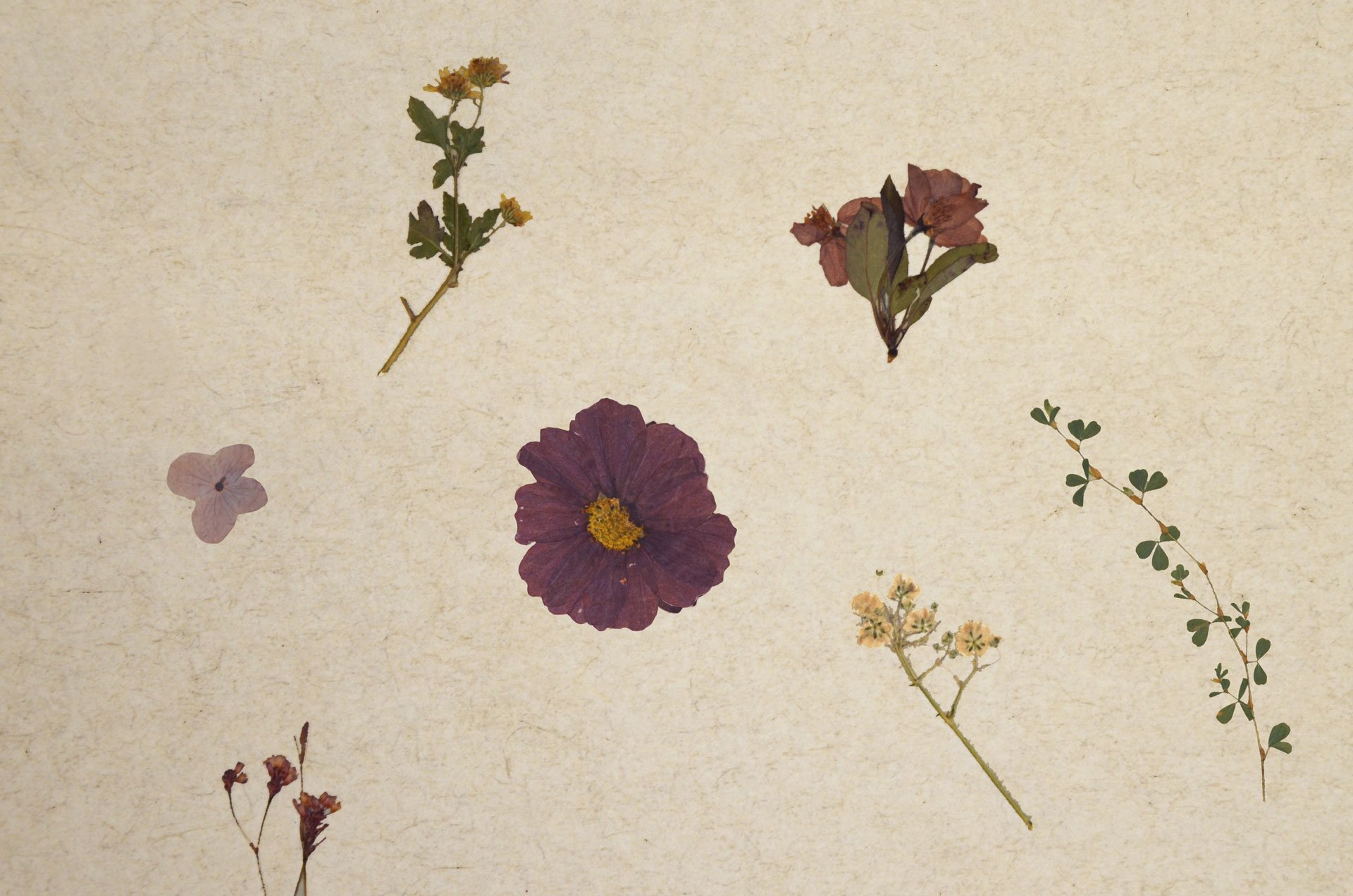 organoid-naturoberfl-chen-violette-tapete-pastell image 1