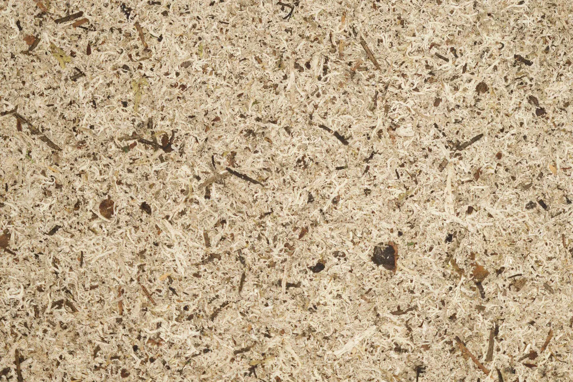 organoid-moss-grey-naturoberfl-che-moos-hellgrau-flachsvlies image 1